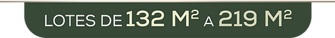 Asset 1.png