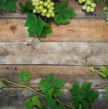 Depositphotos_155746736_xl-2015.jpg
