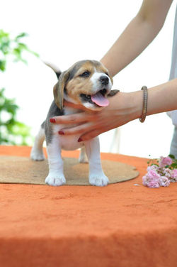 13566941_1041830762519449_3114602239828172215_n