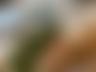 Xmas in der Heimatfoods-Küche