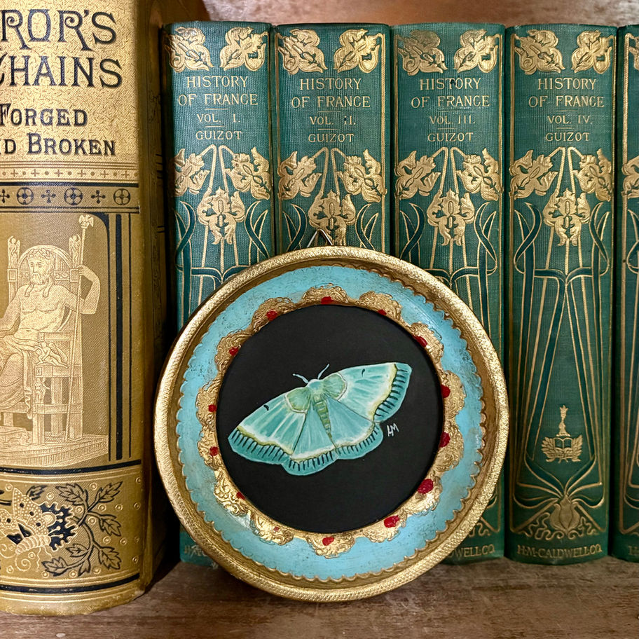 The Admirable Moth watercolor painting in circular Italian gilded frame