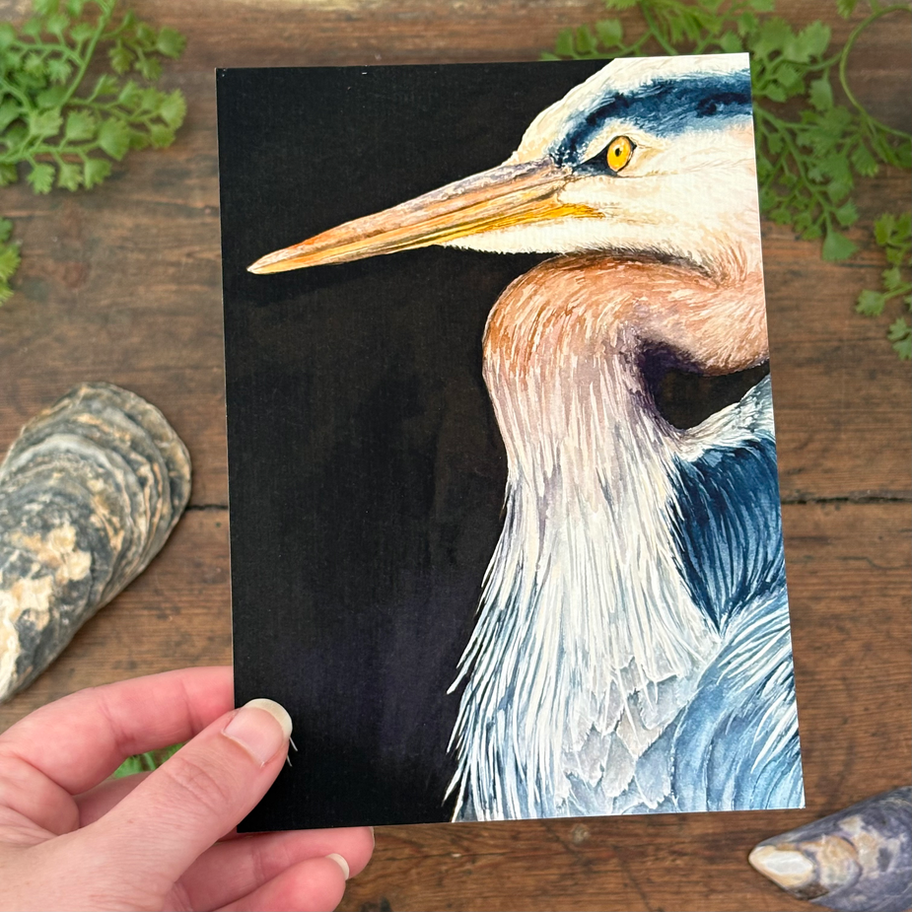 Great Blue Heron watercolor print
