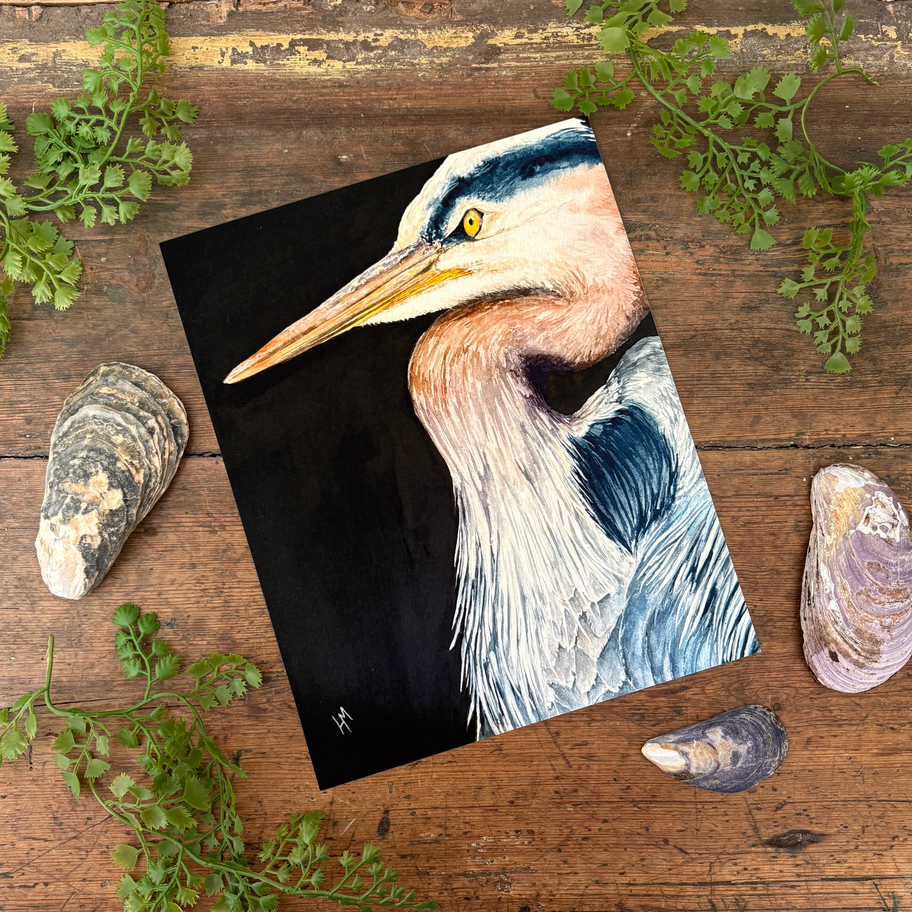 Great Blue Heron watercolor print