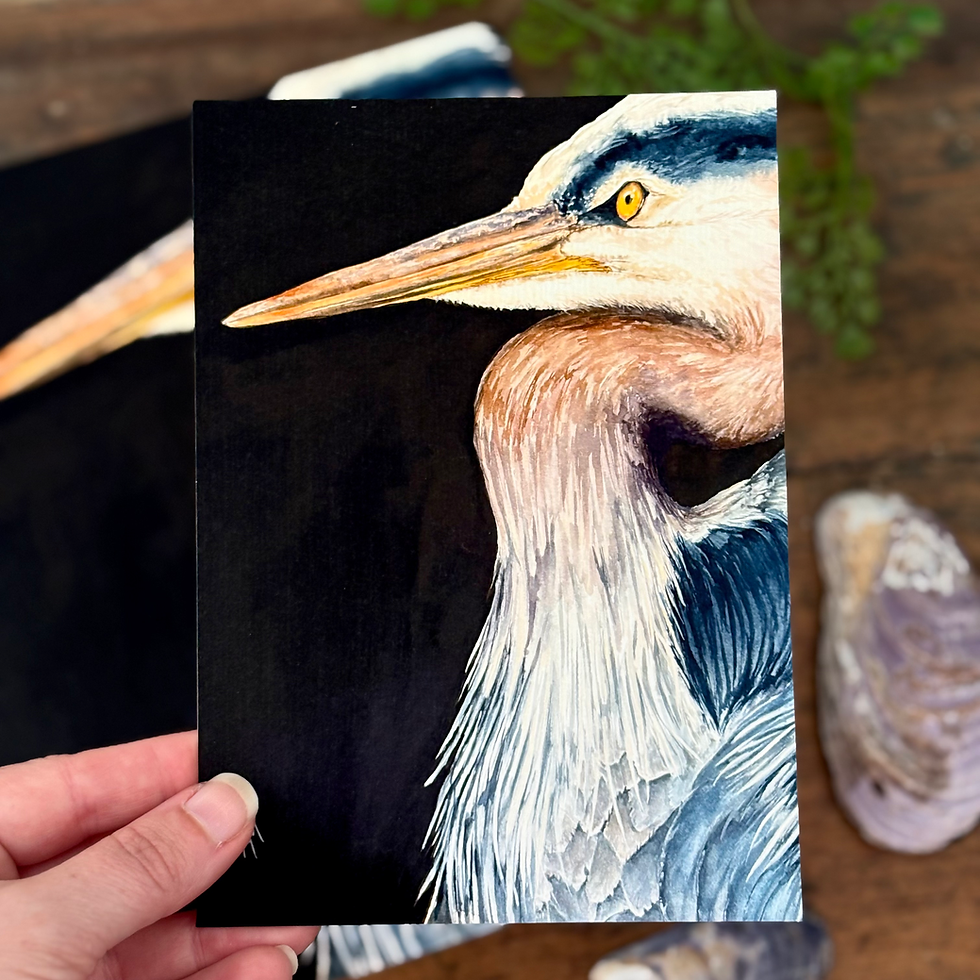 Great Blue Heron watercolor print