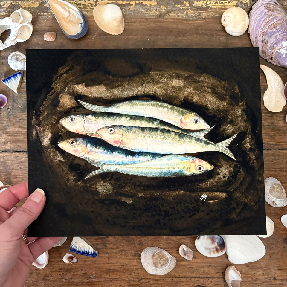 Print of Original Watercolor Herring Fish painting on dark backround
