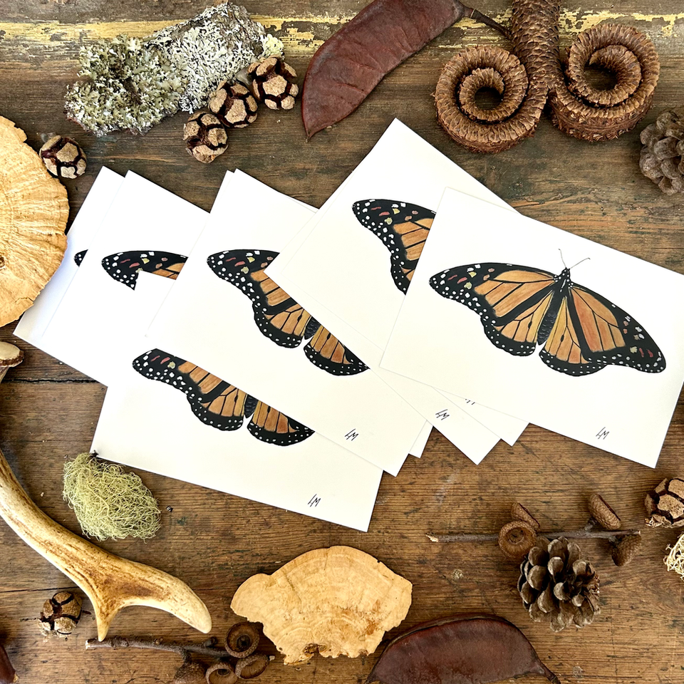 Orange Monarch Butterfly Postcard