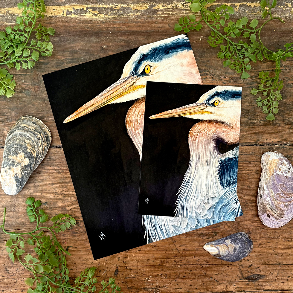 Great Blue Heron watercolor print