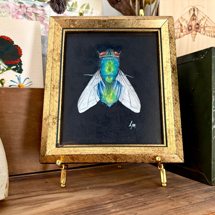 Blue Bottle Brush Fly Watercolor Painting in Vintage gold Frame