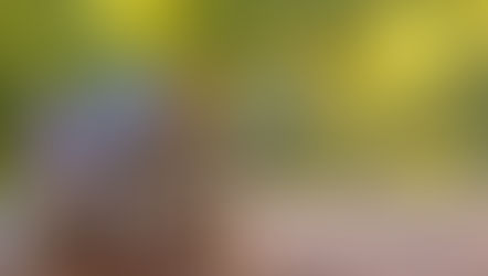 Keep the Old House and the New