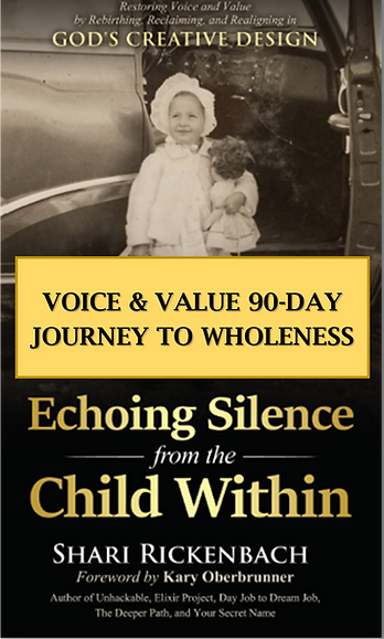 VOICE & VALUE 90 DAY JOURNEY.png