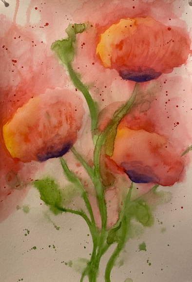 Poppies