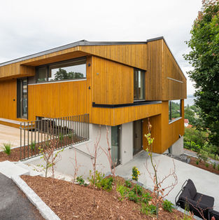 West and south facades in vertical timber; terrace, paths and planting adjusted to a steep hillside.