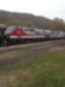 Leaf Train 2014.jpg