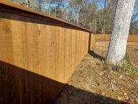 Residential Treated Pine Privacy Fence