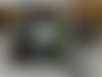 Land fördert Technikum Laubholz mit 25 Millionen Euro