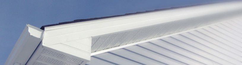 Fascia and Soffit