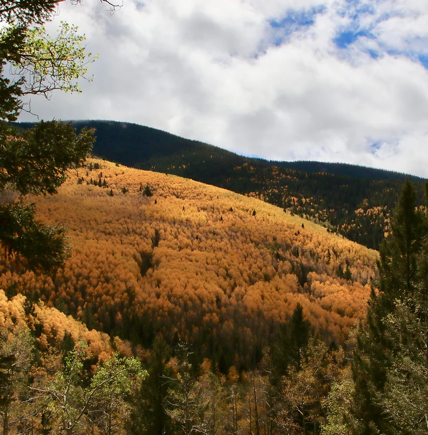 About Us Tesuque Valley