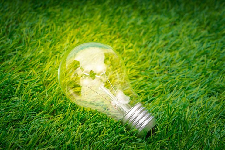 eco-concept-light-bulb-grow-grass.jpg