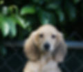 1EE78817-FBD8-47F9-98DC-886DA7BBA15C.jpeg