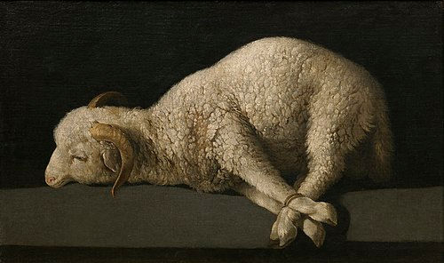 Agnus Dei c. 1635–1640, by Francisco de Zurbarán, Prado Museum: PUBLIC DOMAIN