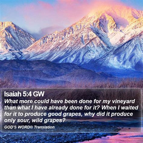 “What more could have been done for my vineyard?” — Isaiah 5:4  Source: a Scripture-Images / Bible Art creation