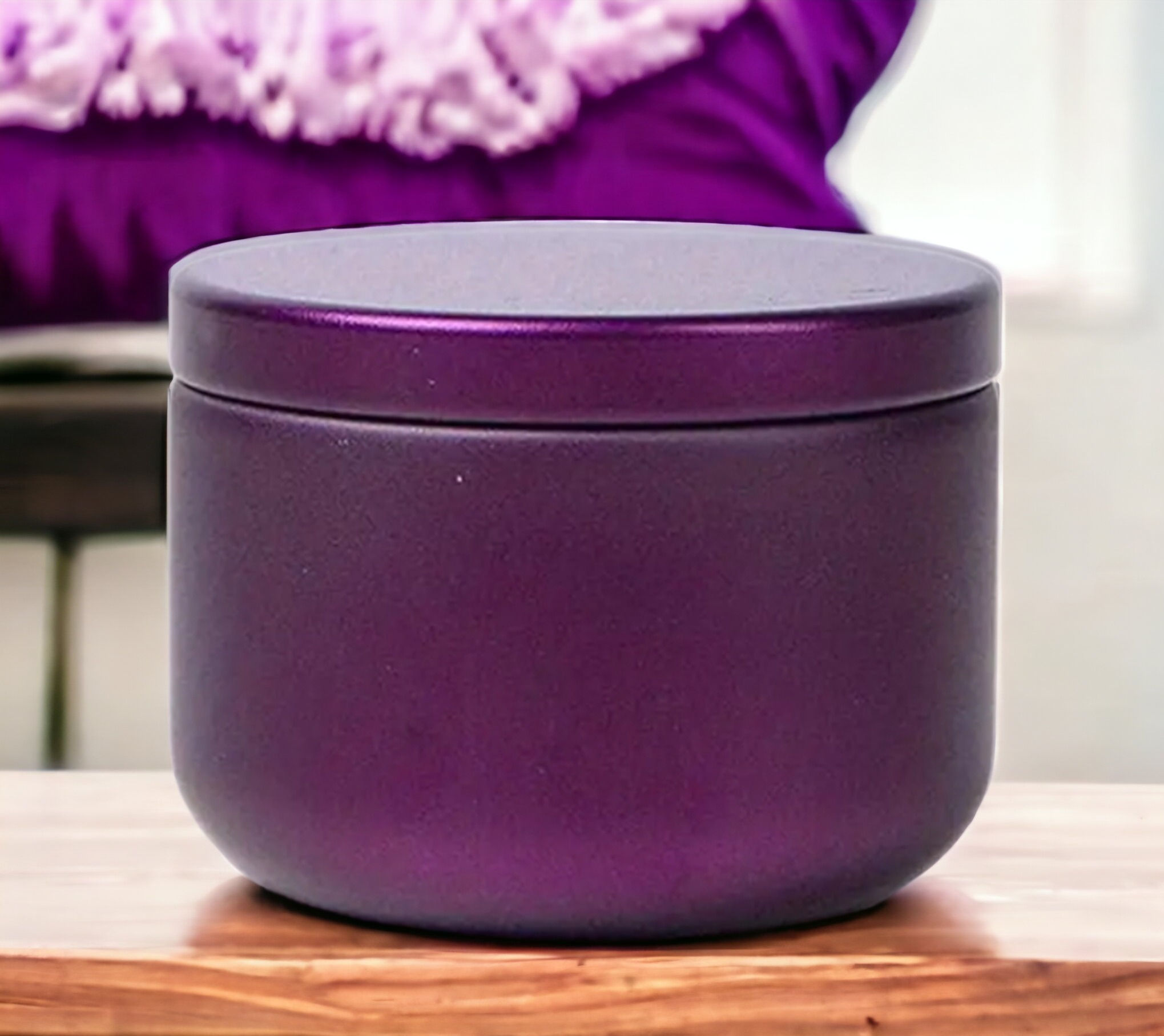 Plum Compact Airtight Container