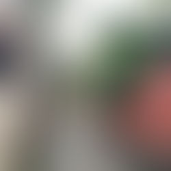 Fragmentos de la Ciudad de México