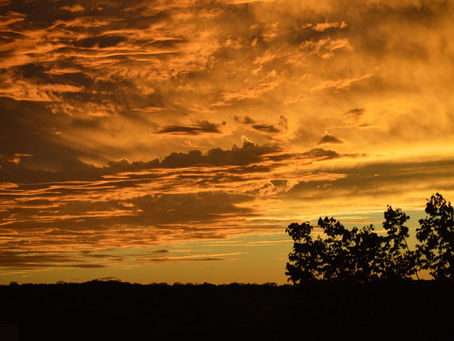 La caída de un ángel