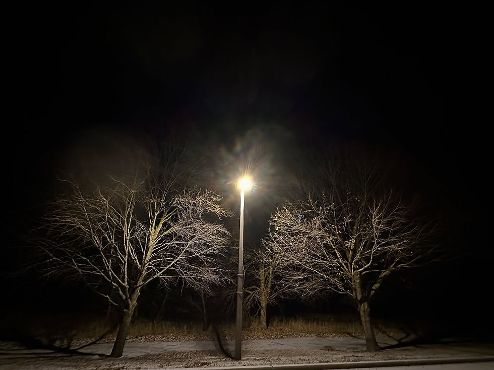 TLC Solstice Blog - Turning Toward the Light on the Darkest Night of the Year