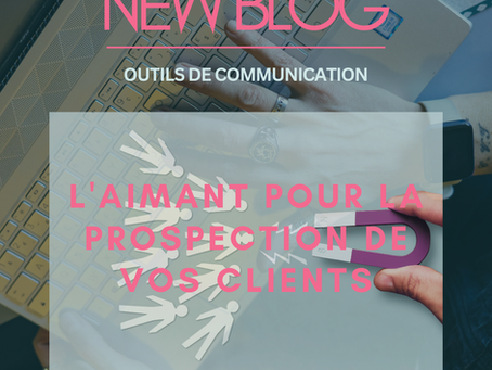 Le Lead Magnet : L'aimant pour la prospection de vos Clients