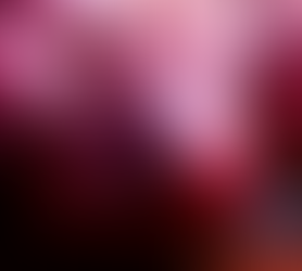 Baked Mixed Vegetables