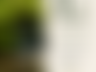 Introducing LAYERS: Why listening is always the first step