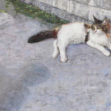 新人賞
髙田　加ツ美
「視線の前」