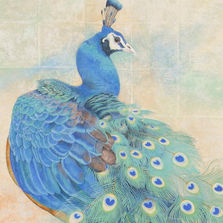 ターレンス賞
澤井　美重子
「孔雀」