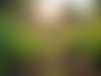 Servant Leadership: Transforming Lives Through Selflessness