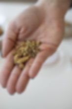 יפעת המלכה-27.jpg