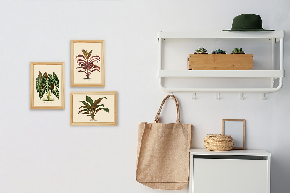 תמונה ממוזערת: תמונה ממוסגרת - Lowi