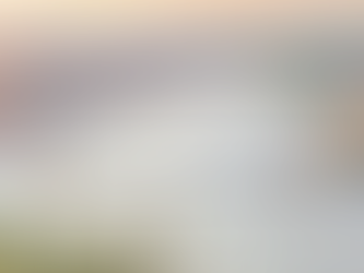 Eurowise | European Retirement & Citizenship: Why More Americans Are Looking Back to Their Roots