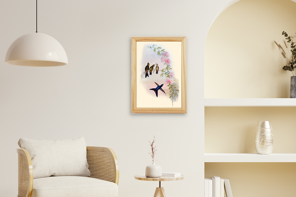 Thumbnail: Framed Photo - Sunset Birds