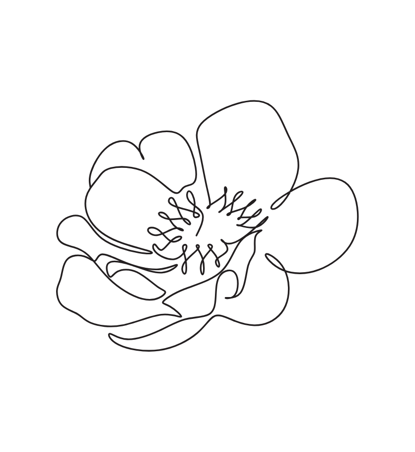 תת-כותרת - 2025-09-07T155129.170.png