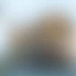 יורו וייז | למה לבחור באזרחות ליטאית