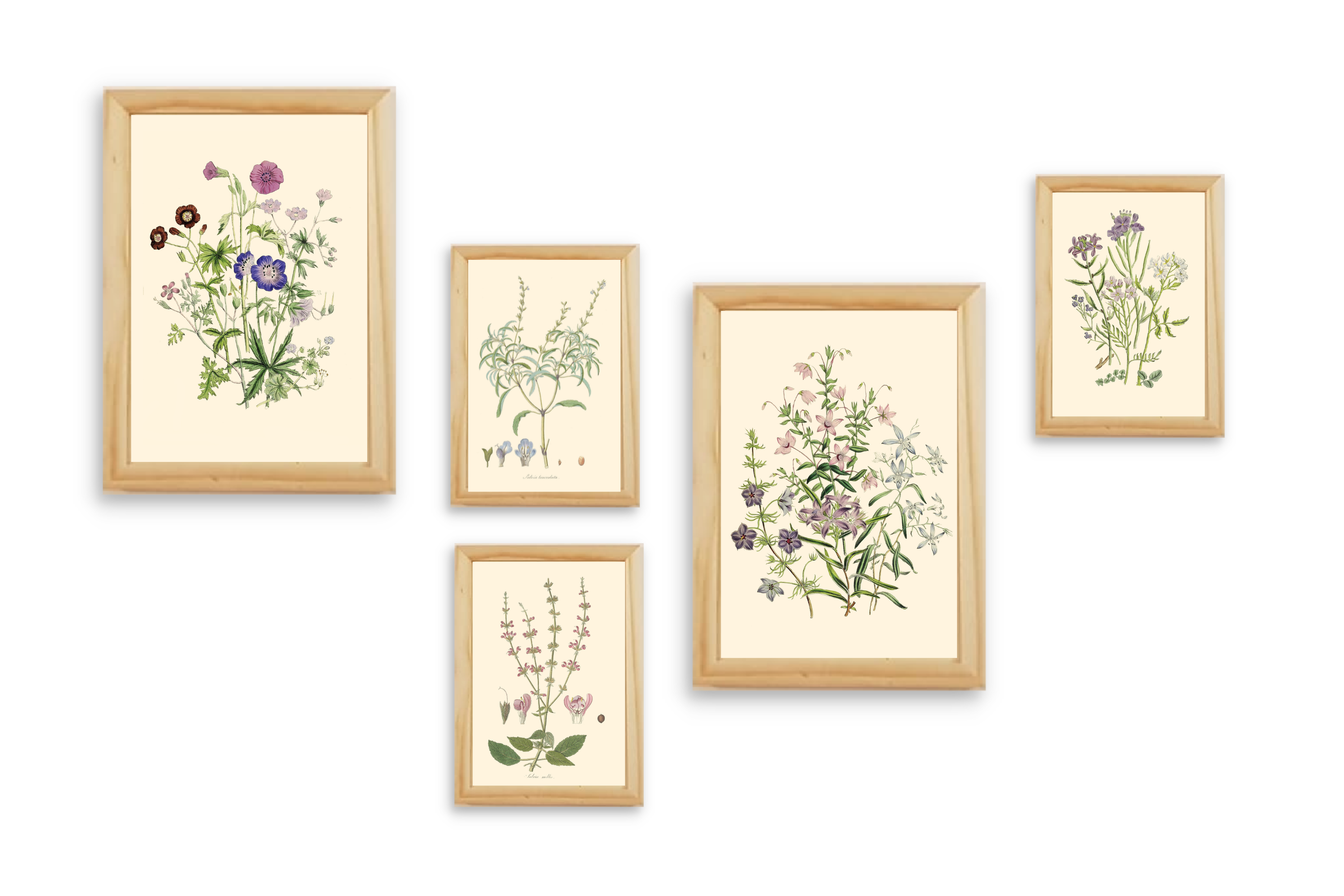 סט תמונות לסלון - פריחה סגולה