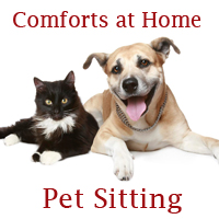 Comforts At Home Pet Sitting Dog Walking In E Vancouver Camas Wa