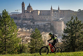 Marche-Outdoor-_PU_Urbino_Guelpa.jpg
