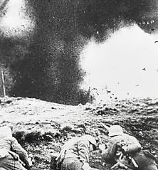 IMG_2987.HEIC