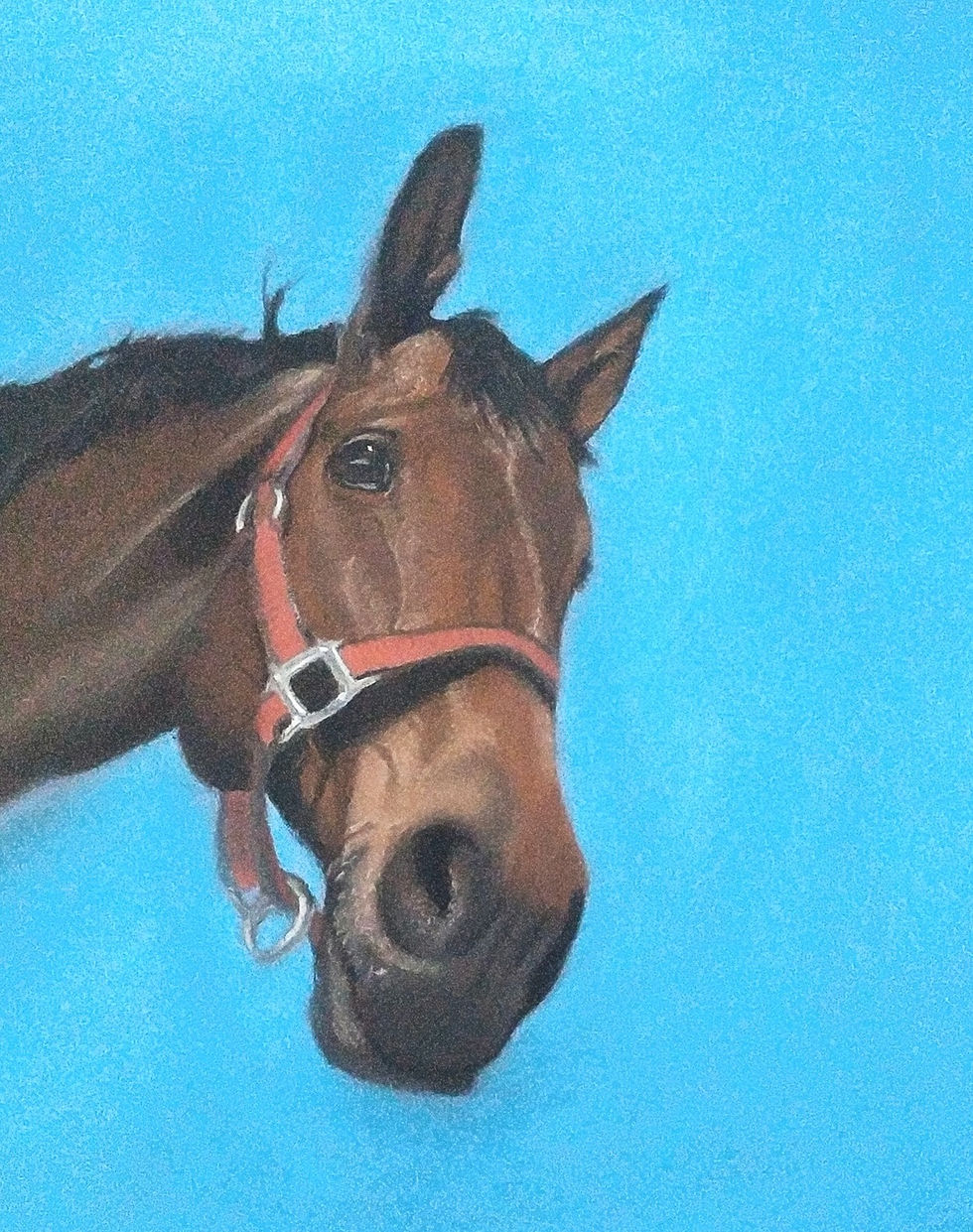 Cheval%2520brun_edited_edited