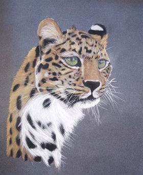 Portrait d'un léopard au pastel sec