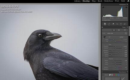 Screenshot 2025-12-13 at 3.43.34 PM.png