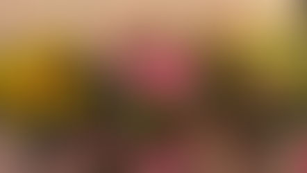 26年の眠りから覚めた娯楽大作オペラ「静と義経」、日本オペラ協会新機軸
