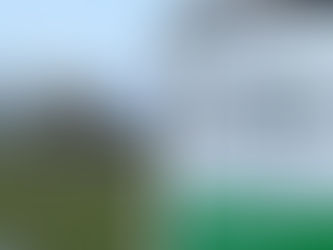 オーケストラ、鍵盤楽器に彩られた新年